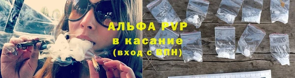 мет Алексин
