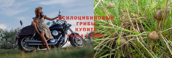 мет Алексин