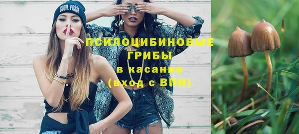 сатива Алзамай