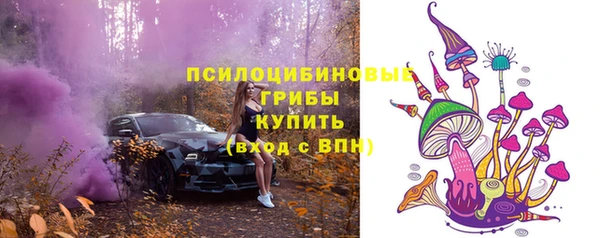 сатива Алзамай