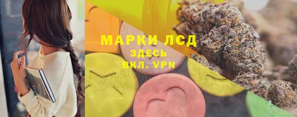 сатива Алзамай