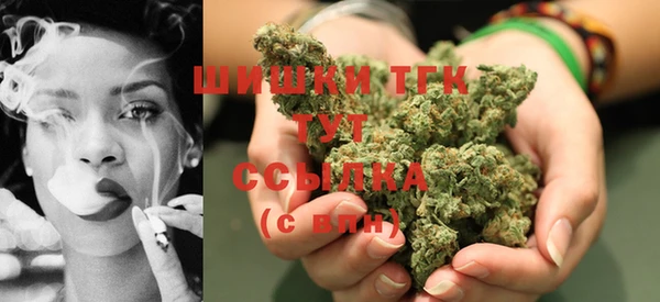 сатива Алзамай