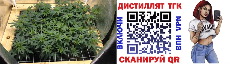 ТГК THC oil  Тосно 