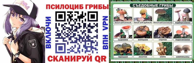 Псилоцибиновые грибы Psilocybine cubensis  Тосно 