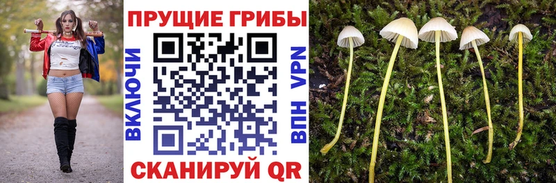 Галлюциногенные грибы ЛСД Тосно