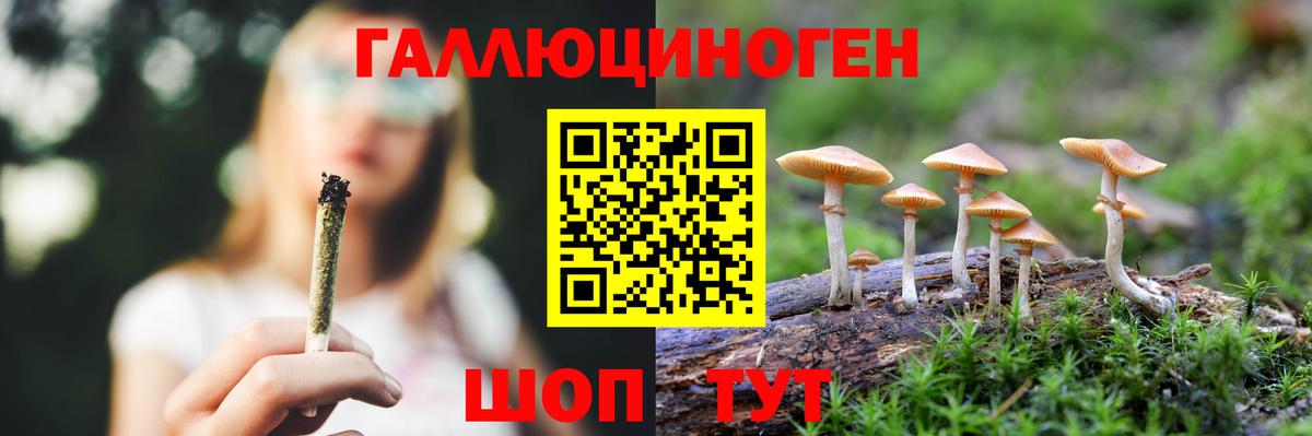 Псилоцибиновые грибы MAGIC MUSHROOMS  Псилоцибиновые грибы мухоморы  Вход с VPN  Тосно 