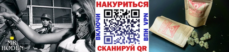 где найти   Тосно  Шишки марихуана Bruce Banner 